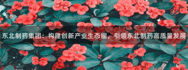 九游会老哥必备的交流社区：东北制药集团：构建创新产业生态圈，引领东北制药高质量发展