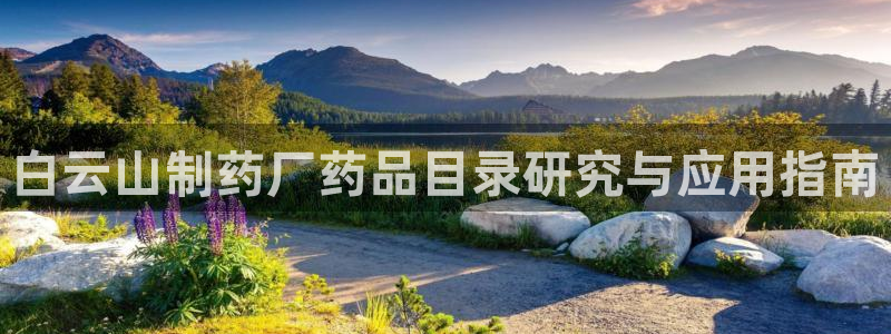 9游会老哥俱乐部：白云山制药厂药品目录研究与应用指南