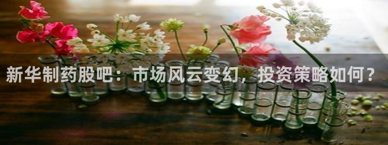 老哥俱乐部是干什么的：新华制药股吧：市场风云变幻，投资策略如何？