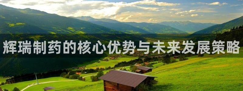九游会老哥俱乐部官网：辉瑞制药的核心优势与未来发展策略