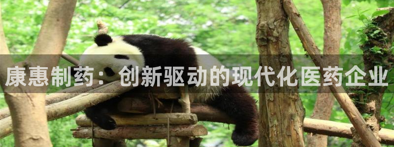 9游会老哥俱乐部：康惠制药：创新驱动的现代化医药企业