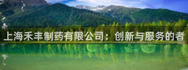 九游会老哥必备的交流社区：上海禾丰制药有限公司：创新与服务的者