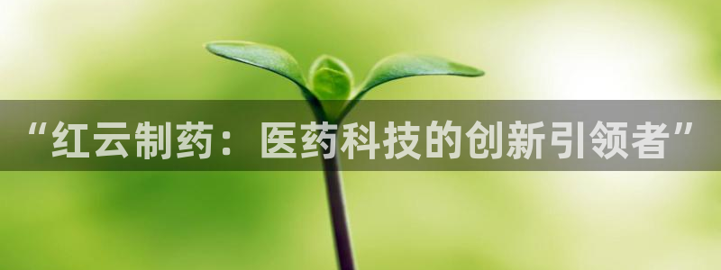 九游会老哥必备的交流社区九：“红云制药：医药科技的创新引领者”
