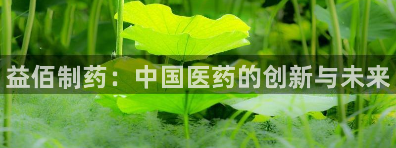 老哥俱乐部是干什么的：益佰制药：中国医药的创新与未来