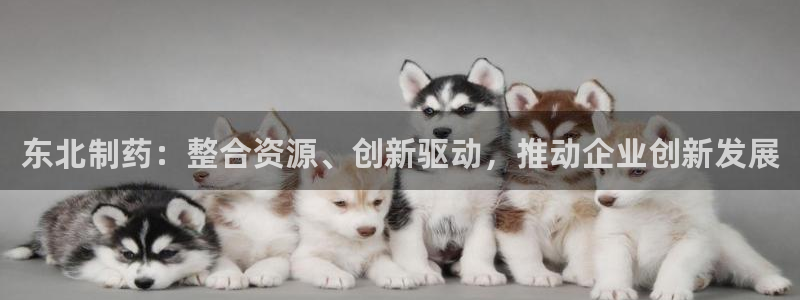 老哥俱乐部是干什么的：东北制药：整合资源、创新驱动，推动企业