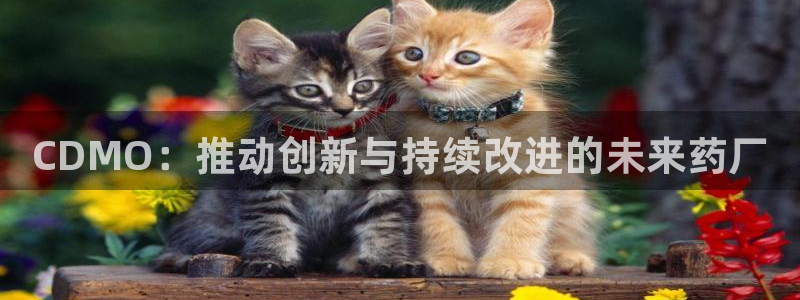 9游会老哥俱乐部：CDMO：推动创新与持续改进的未来药厂