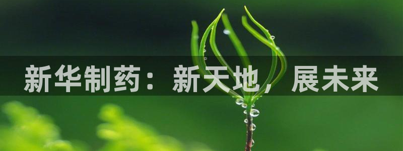 九游会老哥必备的交流社区：新华制药：新天地，展未来